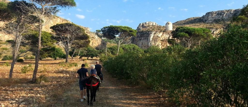 Azienda Agrituristica Tenuta Pizzolungo エーリチェ エクステリア 写真