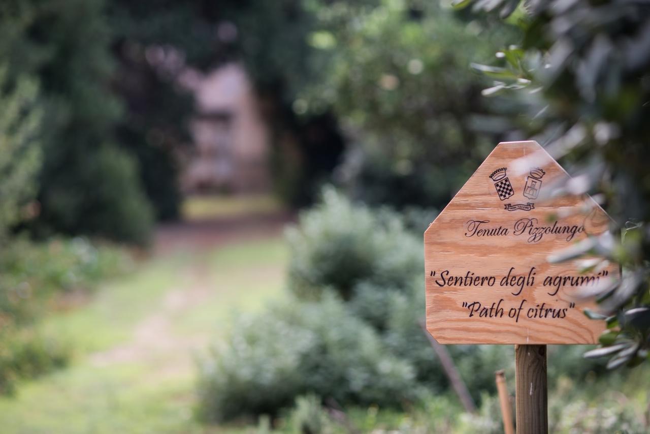 Azienda Agrituristica Tenuta Pizzolungo エーリチェ エクステリア 写真