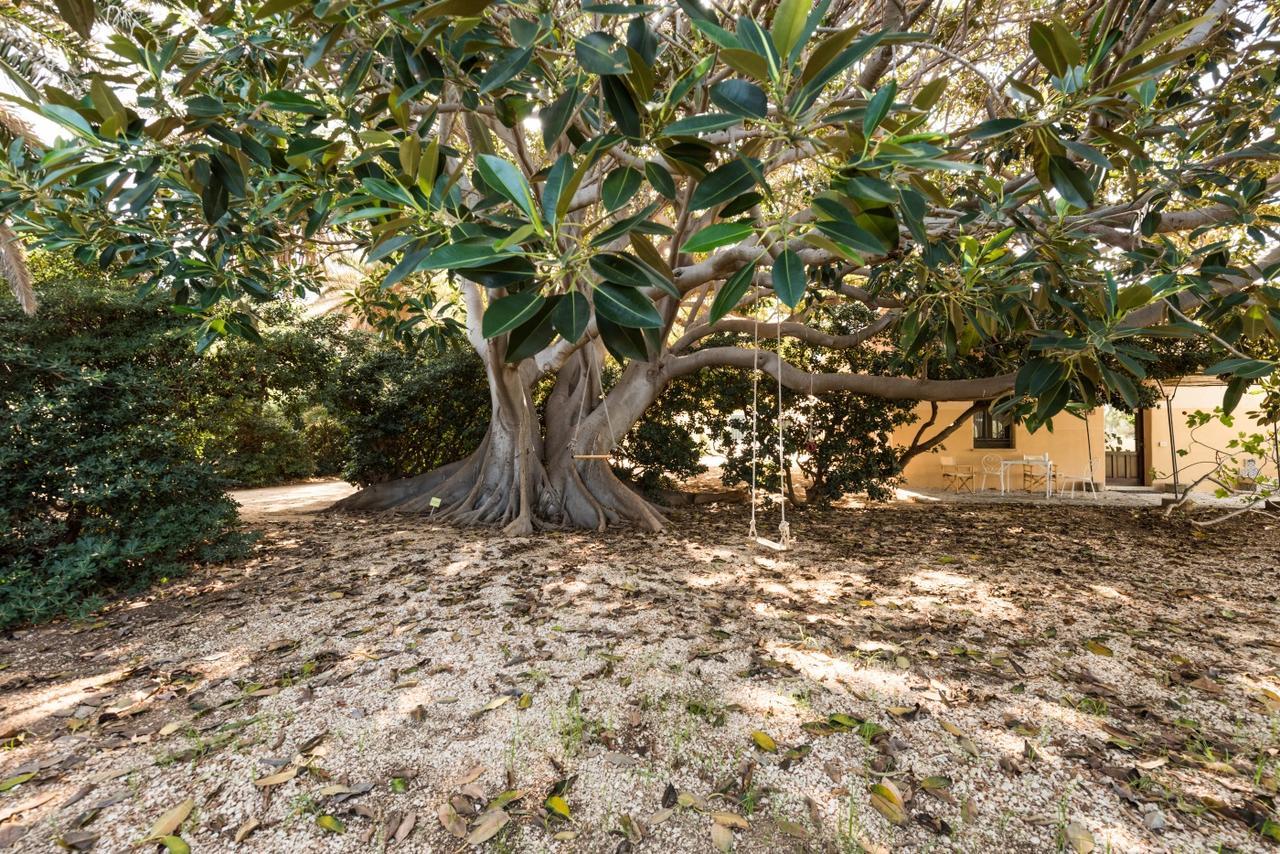 Azienda Agrituristica Tenuta Pizzolungo エーリチェ エクステリア 写真