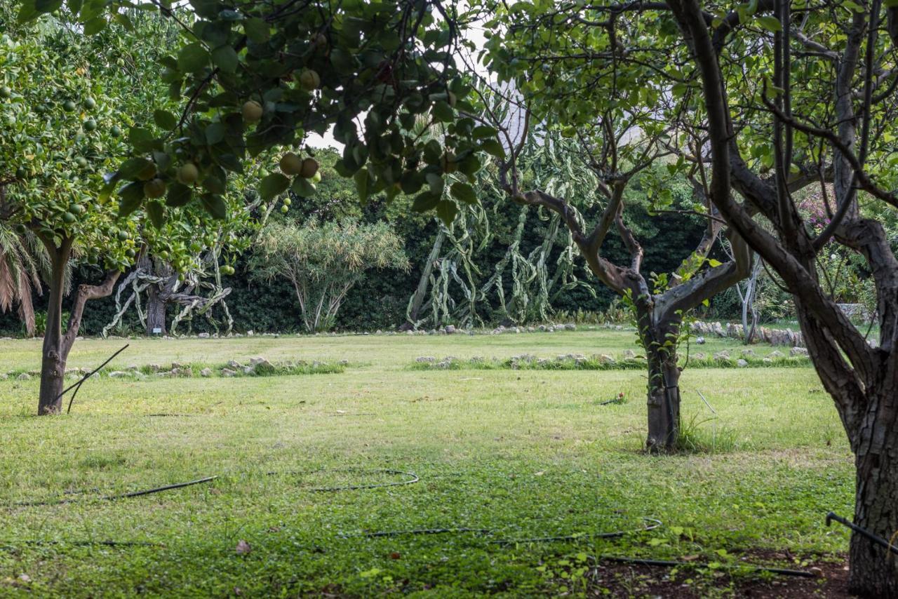 Azienda Agrituristica Tenuta Pizzolungo エーリチェ エクステリア 写真